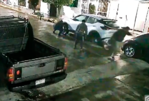 Roballantas atacan de nuevo en Orizaba