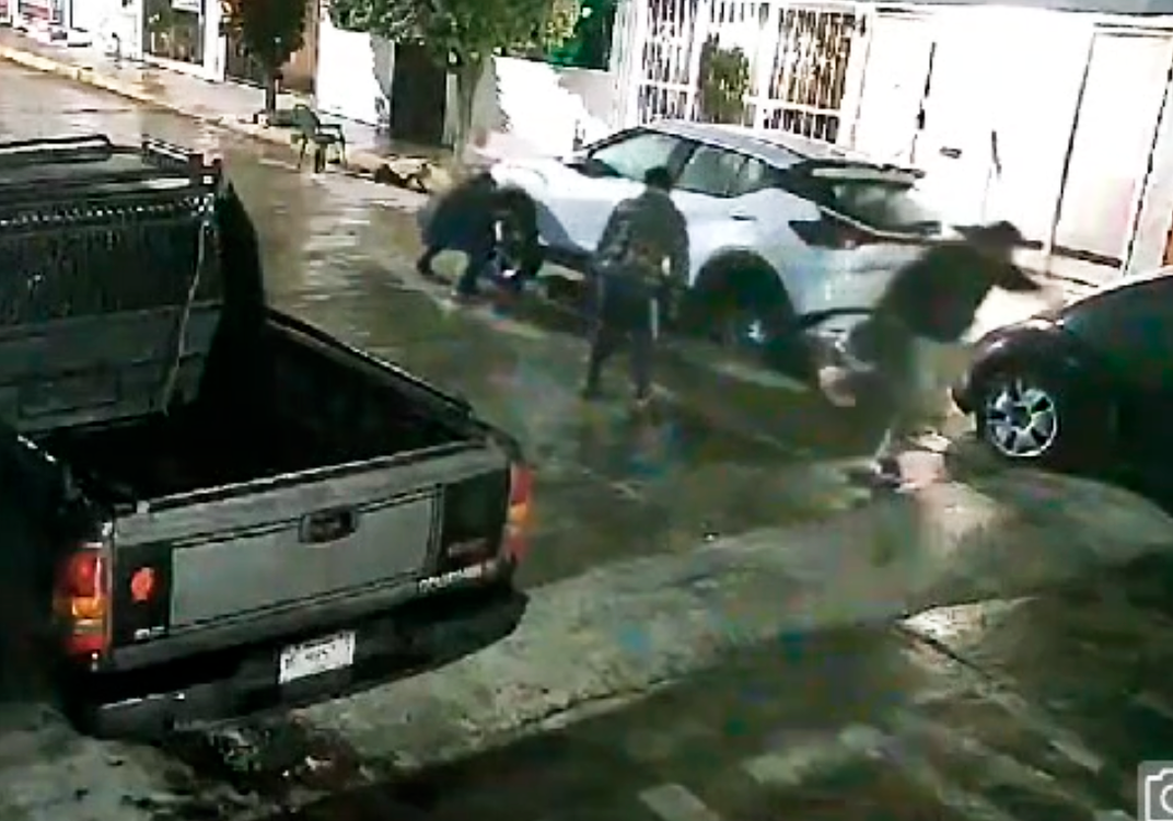 Roballantas atacan de nuevo en Orizaba