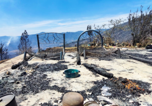 Solidaridad y esfuerzo: Apagados incendios de Nogales y Huiloapan