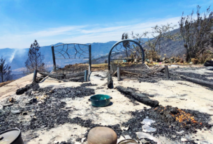 Solidaridad y esfuerzo: Apagados incendios de Nogales y Huiloapan