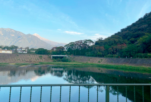 Limpieza mal planificada afecta a 167 especies de aves en Orizaba