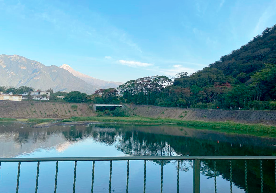 Limpieza mal planificada afecta a 167 especies de aves en Orizaba