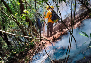 Fuera de control incendio en Tenango