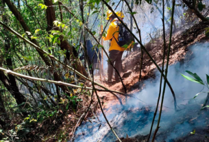 Fuera de control incendio en Tenango