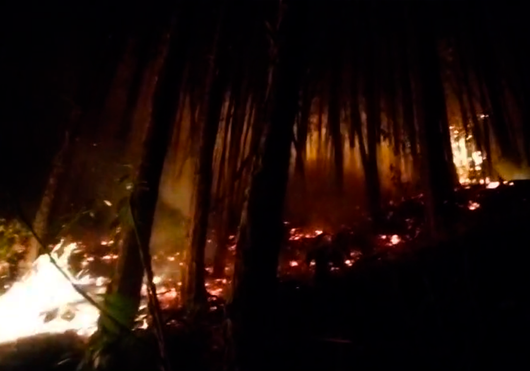 Incendio forestal amenaza zona maderable en Atlahuilco