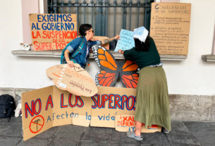 Protestan contra proyecto de "Súper Postes" en Xalapa