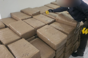 FGR decomisa 700 kilos de marihuana en Tuxpan