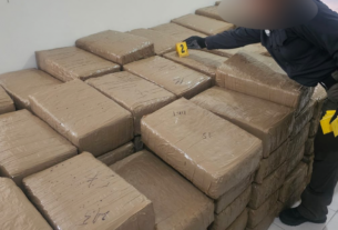 FGR decomisa 700 kilos de marihuana en Tuxpan