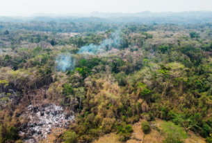 Cuatro incendios forestales movilizan a autoridades y voluntarios