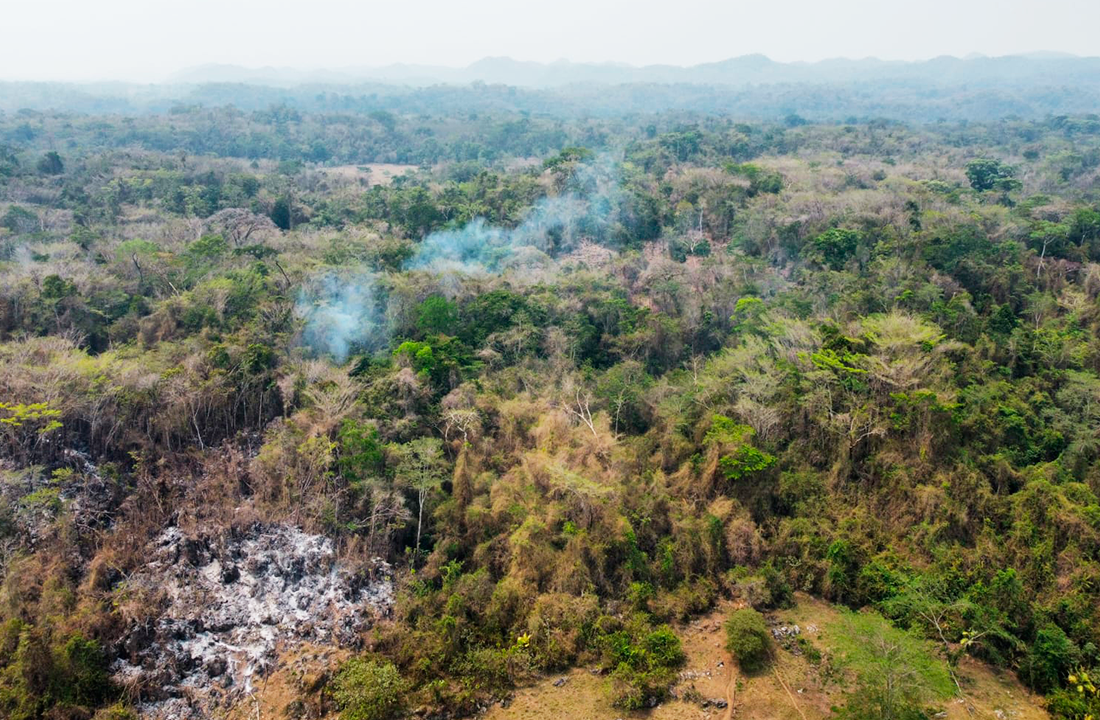 Cuatro incendios forestales movilizan a autoridades y voluntarios