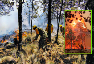 Incendio en el Cofre de Perote