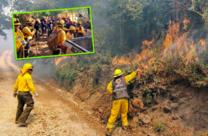 Incendios forestales siguen activos en la región capital de Veracruz