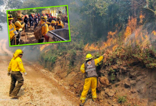 Incendios forestales siguen activos en la región capital de Veracruz