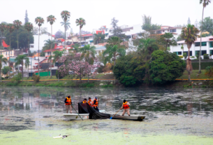 Una cuadrilla de trabajadores limpian los lagos de Las Ánimas en Xalapa.