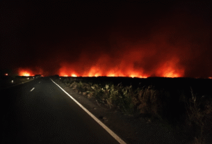 Coatzacoalcos registra 468 incendios en lo que va de 2025