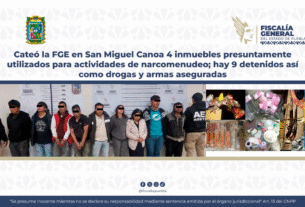 Detienen a 9 por narcomenudeo en San Miguel Canoa, Puebla